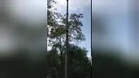 Albero telescopico con avviamento manuale da 12 m per stazione meteorologica mobile